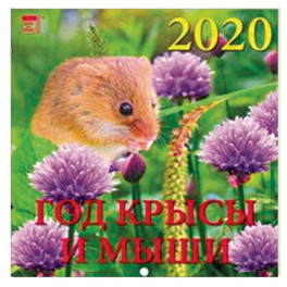 Календарь 2020 "Год крысы и мыши"