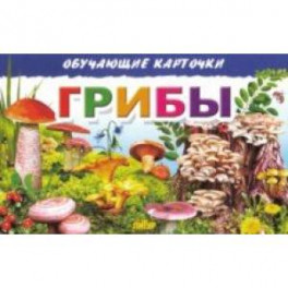 Обучающие карточки. Грибы