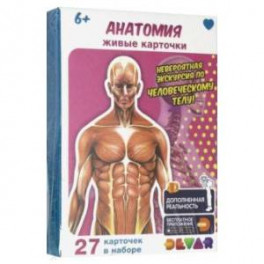 Живые карточки "Анатомия"