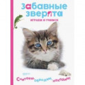 Котенок. Играем и учимся