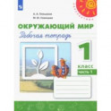 Окружающий мир. 1 класс. Рабочая тетрадь в 2-х частях