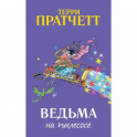 Ведьма на пылесосе