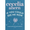 If You Could See Me Now