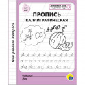 Моя рабочая тетрадь. Пропись каллиграфическая