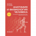 Анатомия и физиология человека