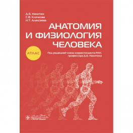 Анатомия и физиология человека