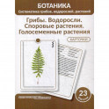 Ботаника. Систематика грибов, водорослей, растений. Грибы. Водоросли. Споровые растения. Голосеменные растения