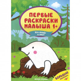 Кто живет в лесу?