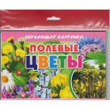 Полевые цветы (в европакете)