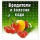 Вредители и болезни сада
