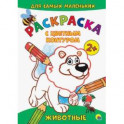 Раскраска с цветным контуром. Животные