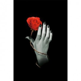 Дневник "Роза в руке"