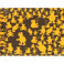 Блокнот "Оранжевые мишки" (40 листов,145х180) (БЛ-3470)