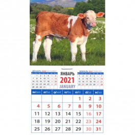 Календарь магнитный на 2021 год "Год быка. Симпатичный теленок" (20124)
