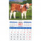 Календарь магнитный на 2021 год "Год быка. Симпатичный теленок" (20124)
