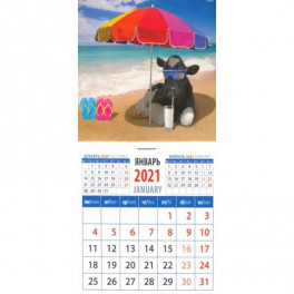 Календарь магнитный на 2021 год "Год быка. Время расслабиться" (20127)