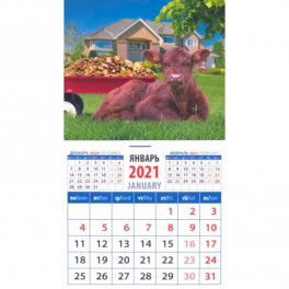 Календарь магнитный на 2021 год "Год быка - успешный год"
