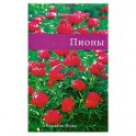 Пионы