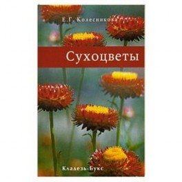 Сухоцветы