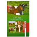 Коровы : Разведение и уход