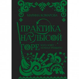 Практика на Лысой горе
