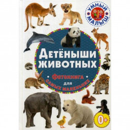 Детеныши животных