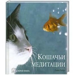 Кошачьи медитации