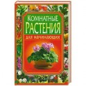 Комнатные растения для начинающих