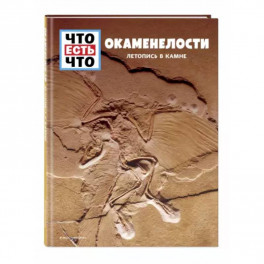 Окаменелости. Летопись в камне