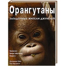 Орангутаны. Загадочные жители джунглей