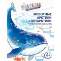 Шагаем по клеточкам. Животные Арктики и Антарктики