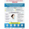 Плакат "Как правильно использовать медицинские маски", формат А3