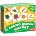 Развивающая игра "С какого дерева листок" (2896)