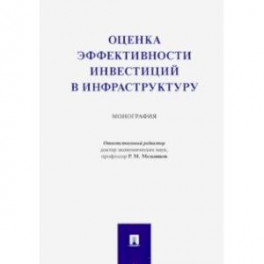 Оценка эффективности инвестиций в инфраструктуру. Монография