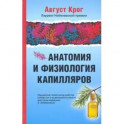 Анатомия и физиология капилляров