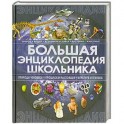 Большая энциклопедия школьника