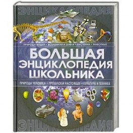 Большая энциклопедия школьника