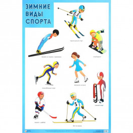 Зимние виды спорта. Плакат