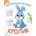 Кролик