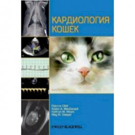 Кардиология кошек
