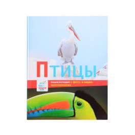 Птицы