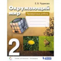 Окружающий мир. 2 класс. Проверочные работы. ФГОС