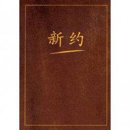 Новый завет на китайском языке