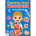 Наклейки Секреты тела человека