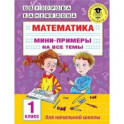 Математика. Мини-примеры на все темы школьного курса. 1 класс