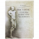 Рисунок головы и фигуры человека
