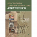 Атлас анатомии зубочелюстной системы для имплантологов