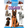 Собаки.Первая энциклопедия для малышей