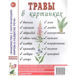 Травы в картинках. Наглядное пособие для логопедов, педагогов, воспитателей и родителей