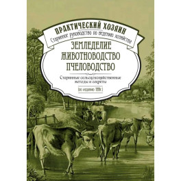 Дети, куклы и мы. Руководство по куклотерапии